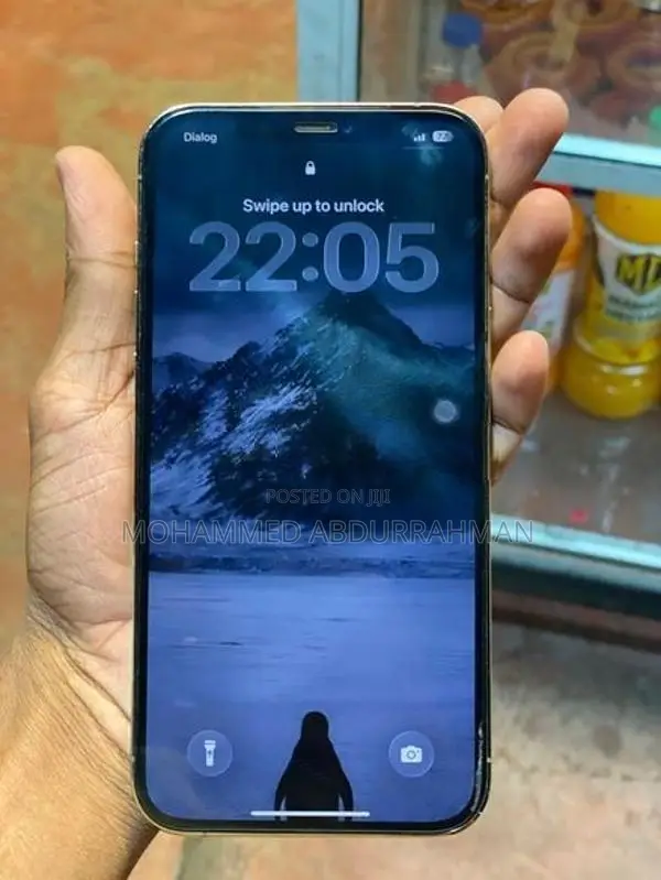 Apple iPhone 12 Pro Max (Used)