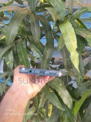 Xiaomi Mi 9T Pro Redmi (Used)