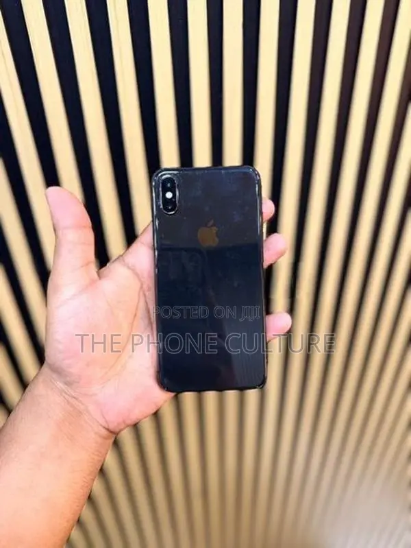 Apple iPhone X 256GB (Used)