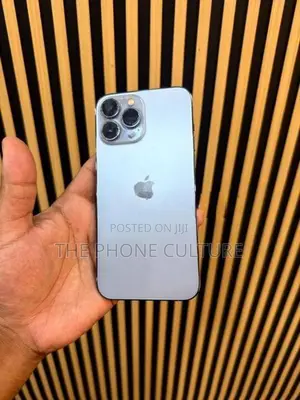 Apple iPhone 13 Pro Max 256GB (Used)