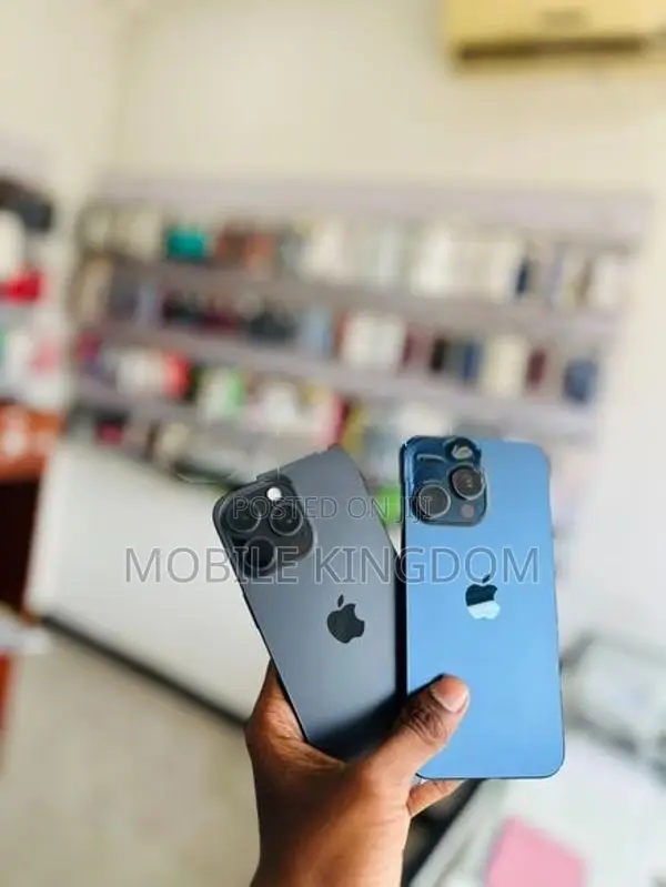 Apple iPhone 15 Pro Max 256GB (Used)