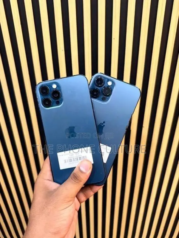 Apple iPhone 12 Pro Max 256GB (Used)