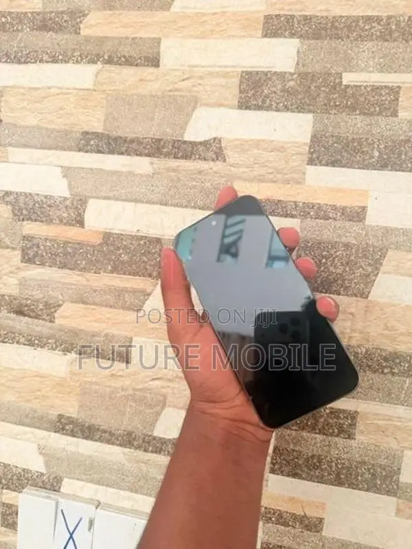 Google Pixel 10 Pro XL (Used)