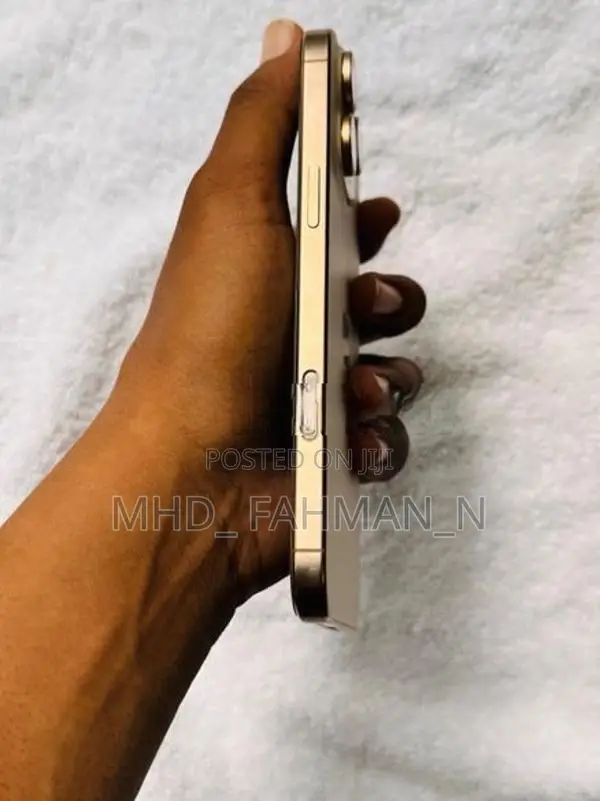 Apple iPhone 16 Pro Max (Used)