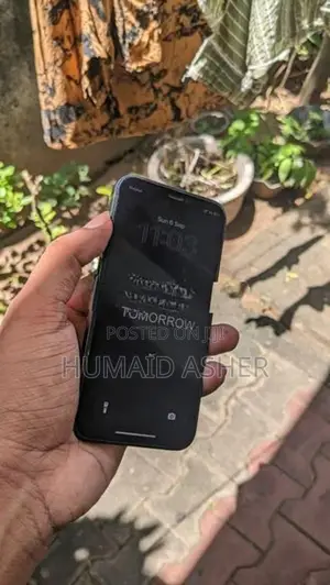 Apple iPhone 12 mini (Used)