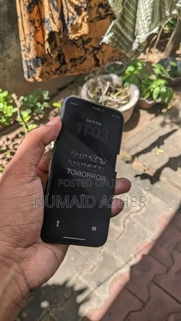 Apple iPhone 12 mini (Used)