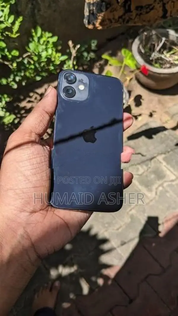 Apple iPhone 12 mini (Used)