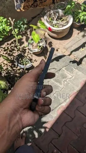Apple iPhone 12 mini (Used)