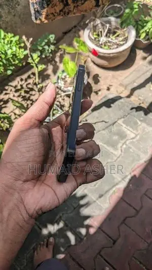 Apple iPhone 12 mini (Used)