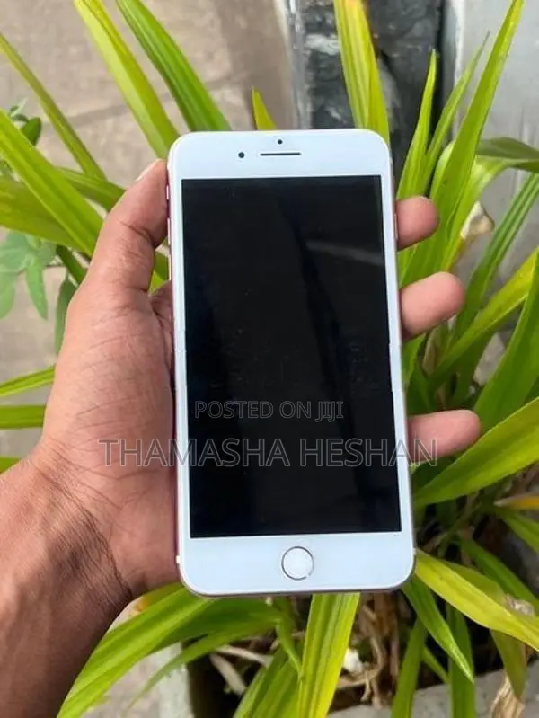 Apple iPhone 7 Plus (Used)