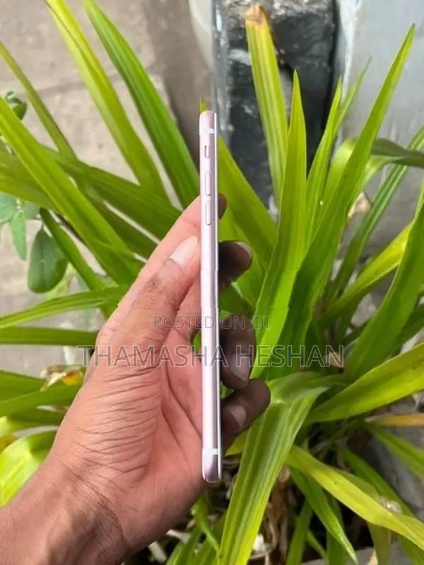 Apple iPhone 7 Plus (Used)