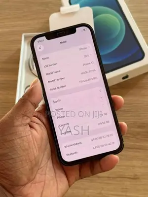 Apple iPhone 12 (Used)