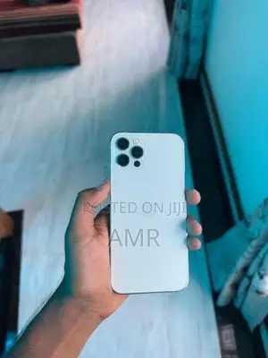 Apple iPhone 12 Pro (Used)