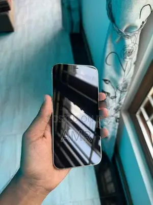 Apple iPhone 12 Pro (Used)