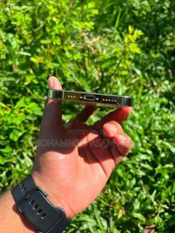 Apple iPhone 12 Pro (Used)