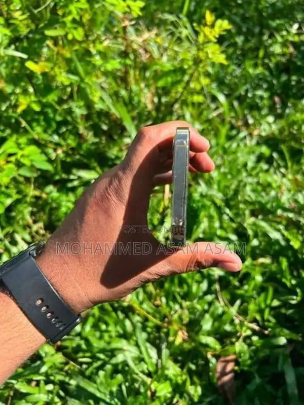 Apple iPhone 12 Pro (Used)