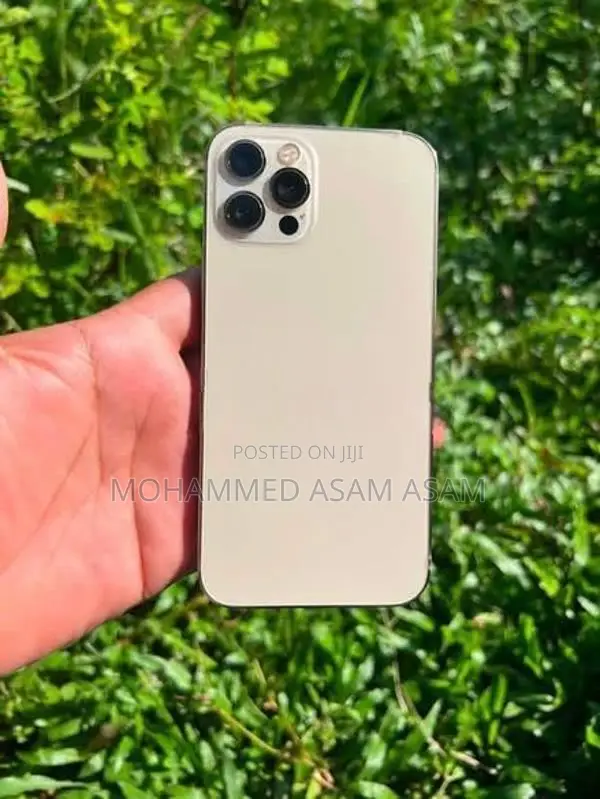 Apple iPhone 12 Pro (Used)