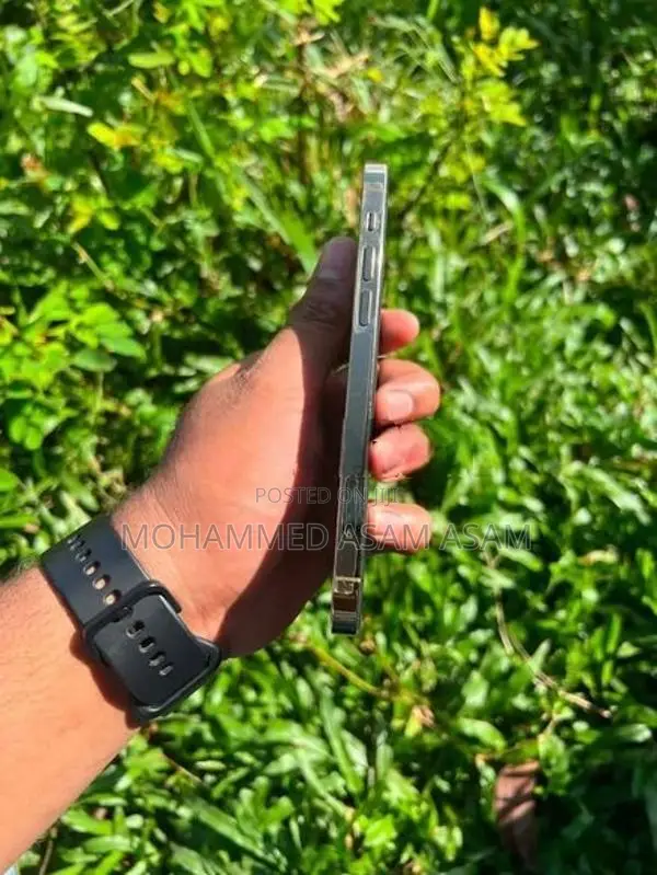 Apple iPhone 12 Pro (Used)