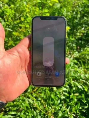 Apple iPhone 12 Pro (Used)