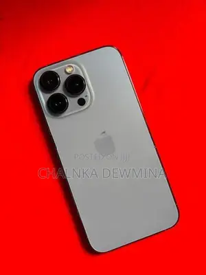 Apple iPhone 13 Pro (Used)