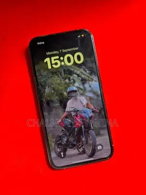 Apple iPhone 13 Pro (Used)