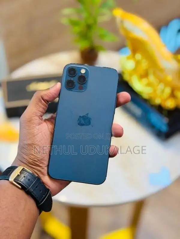 Apple iPhone 12 Pro 256GB (Used)