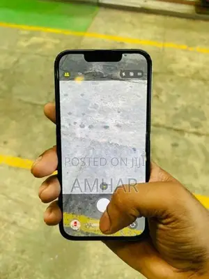 Apple iPhone 13 Pro (Used)