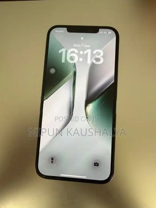 Apple iPhone 12 Pro Max (Used)
