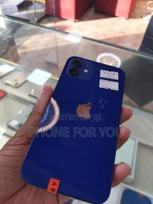 Apple iPhone 12 (Used)