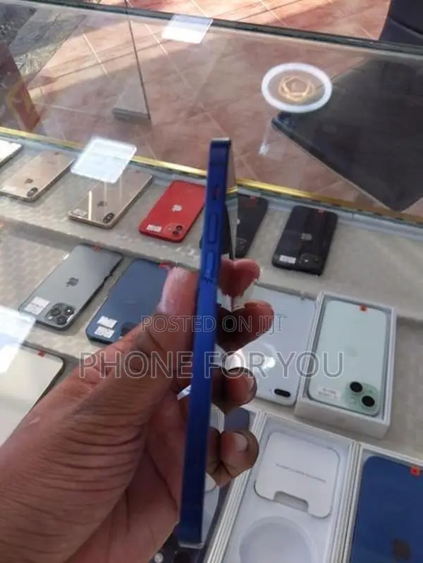 Apple iPhone 12 (Used)