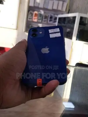 Apple iPhone 12 (Used)