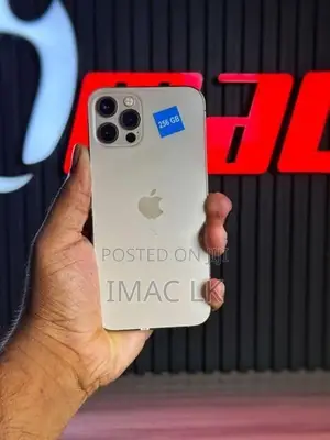 Apple iPhone 12 Pro 256GB (Used)