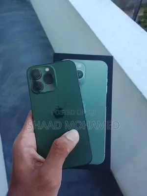Apple iPhone 13 Pro (Used)
