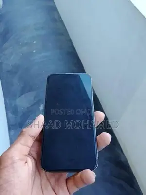 Apple iPhone 13 Pro (Used)