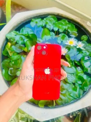 Apple iPhone 13 (Used)