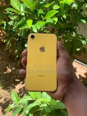 Apple iPhone XR (Used)