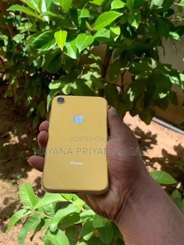 Apple iPhone XR (Used)