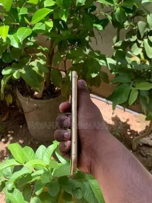 Apple iPhone XR (Used)