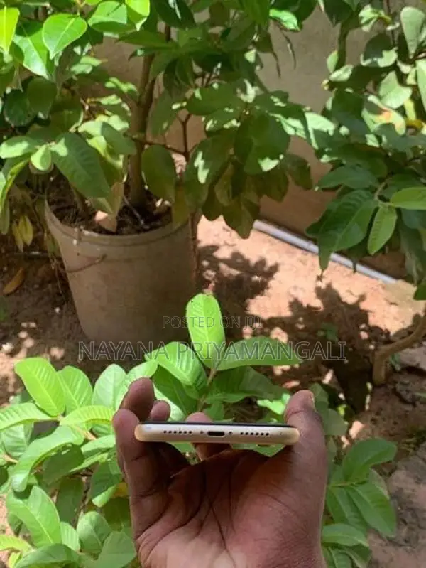 Apple iPhone XR (Used)
