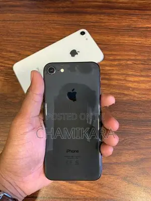 Apple iPhone 8 (Used)