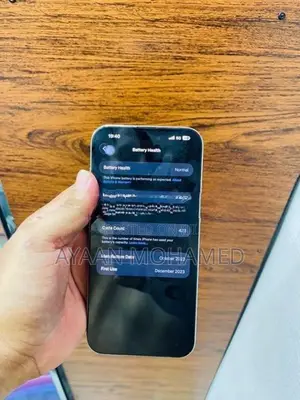 Apple iPhone 15 Pro Max 256GB (Used)