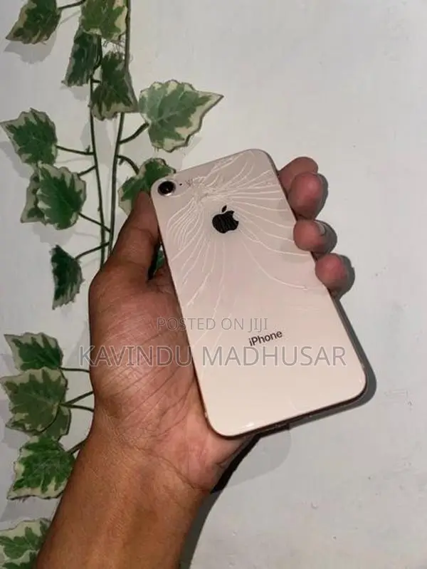 Apple iPhone 8 (Used)