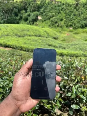 Apple iPhone 13 Pro (Used)