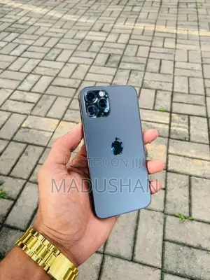 Apple iPhone 12 Pro 256GB (Used)