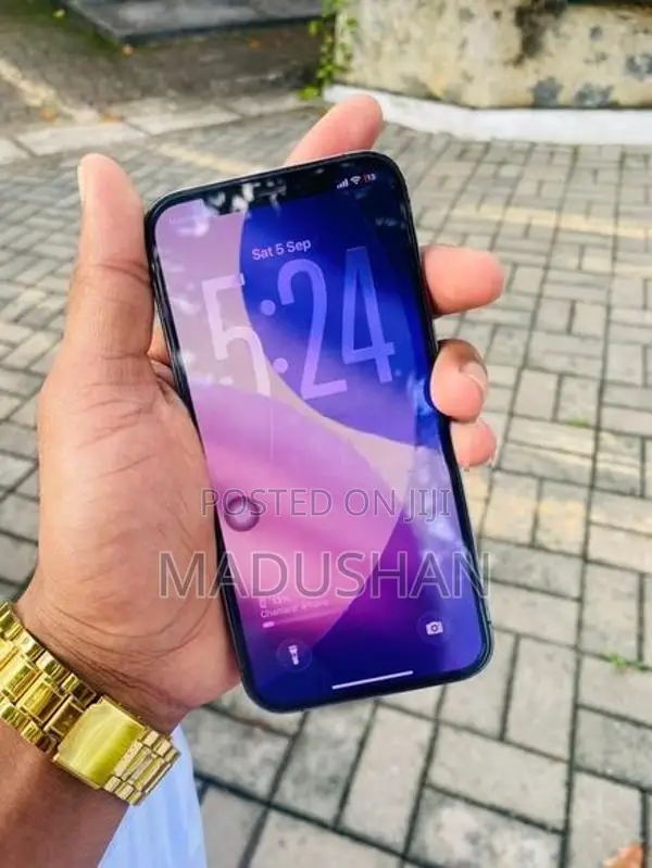Apple iPhone 12 Pro 256GB (Used)
