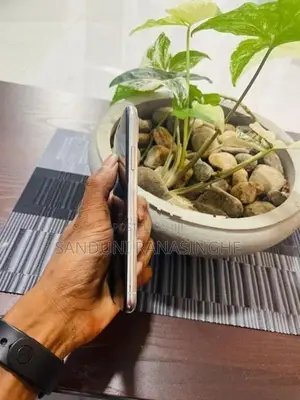 Apple iPhone X (Used)
