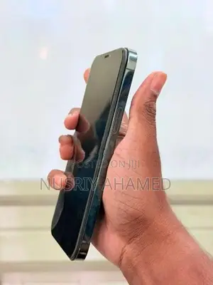 Apple iPhone 12 Pro Max (Used)