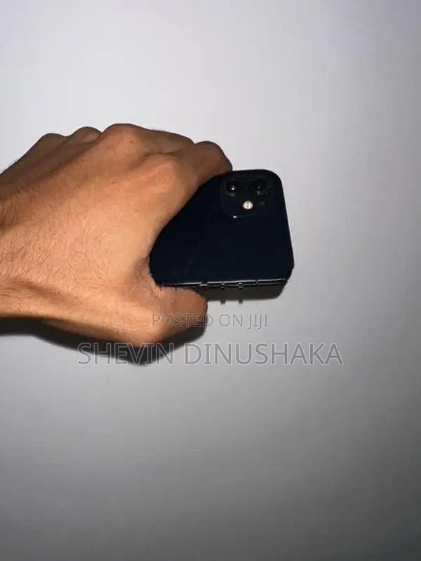 Apple iPhone 12 (Used)