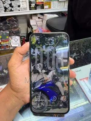 Apple iPhone 13 Pro Max (Used)