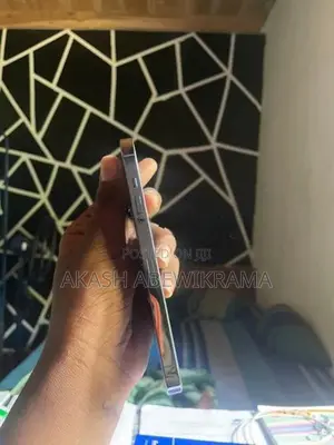 Apple iPhone 13 Pro 256GB (Used)